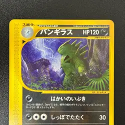Tyranitar 070/087 Pokemon e-Series E3 Wind from the Sea 2002 Japanese (NM) - Image 5