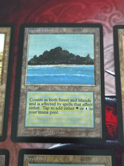 MTG Sticker CEDH Beta Dual Land Set of 10 Display Set - Image 3