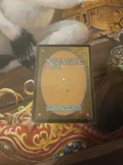 Kamber, The Plunderer Extended Art MTG - Pack Fresh - - Image 2