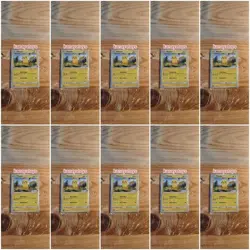 Lot of 10 Pikachu Indomaret Stamp Promo 240/S-P Pokemon TCG Indonesia Exclusive - Image 1