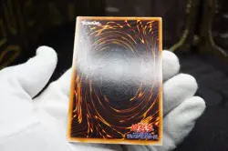 Yugioh Harpie's Feather Duster DM2 Promo Ultra Rare Noref MP - Image 4
