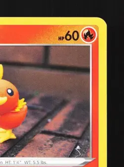 Torchic 022/189 LP Darkness Ablaze English Pokemon Card TCG - Image 5