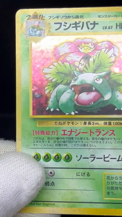(MP) Blastoise Venusaur Trade Please Holo CD Promo 1998 Japanese Pokemon Card - Image 2