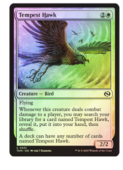 Tempest Hawk - Foil Tarkir: Dragonstorm MTG - Image 1