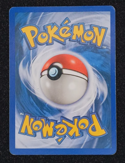 Shelgon 41/97 - E-Series: Dragon - Vintage Yuka Morii Clay Art Pokemon TCG - Image 2