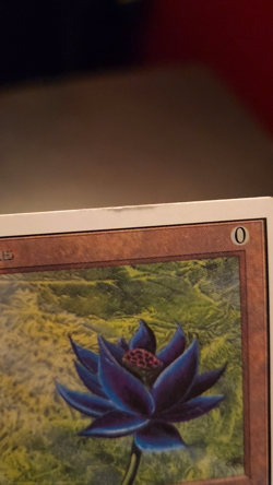 Black Lotus Magic: The Gathering MTG x1 Lightly Played Unlimited Edition English - Image 2