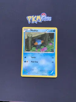 Pokemon TCG Mudkip Primal Clash 33/160 Regular LP. - Image 1