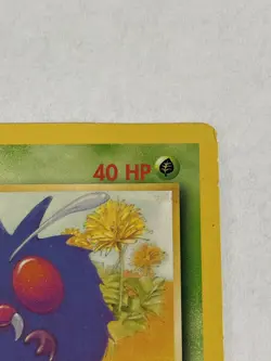 Pokemon TCG Venonat Jungle 63/64 Regular 1st Edition Common MP - Image 3