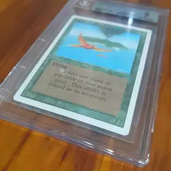 Birds of Paradise 1994 Revised Edition MTG Graded BGS Mint 9 [10 , 8.5 , 9 , 9] - Image 3