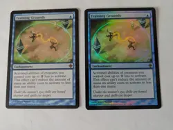 Foil and Regular Training Grounds Rise of the Eldrazi MTG NM Free ship w track - Image 1