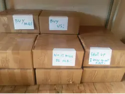 *MRM* LOT +5000 Cartes magic 100 Rares 4900 CO Principalement anglaise MTG N°1 - Image 5