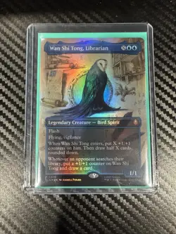 Wan Shi Tong Librarian Borderless FOIL NM - Magic MTG TLA #0320 - Image 1