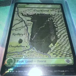 Forest (0721) (Surge Foil) #721 (NM) Lord of the Rings LTR Magic MTG - Image 1