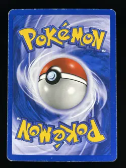 Ludicolo 020 Black Star Promo Holo Rare Ex Era Pokemon Card MP - Image 3