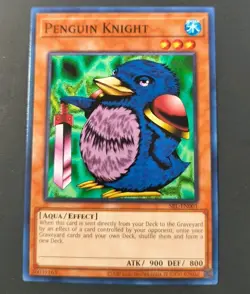 Yu-Gi-Oh! Spell Ruler Penguin Knight Common Card SRL-EN001 NM - Image 1