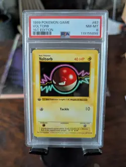 Pokemon Voltorb - 1st Edition Shadowless #67 - PSA 8 NM-MT - Image 1