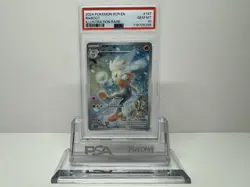 2024 POKEMON SCR EN STELLAR CROWN ILLUSTRATION RARE 147 RABOOT PSA 10 - Image 1