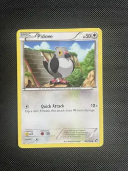 Pokemon TCG Pidove Black & White 84/114 Regular Common NM - Image 1