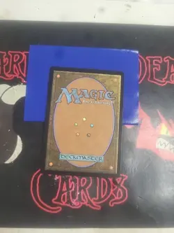 Magic The Gathering Dominaria United "Ertai Resurrected" 298 SHOWCASE RARE NM - Image 2