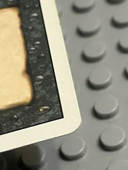 Magic the Gathering | Revised Edition | Sacrifice | #126 | LP | - Image 5