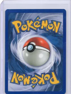 Pokemon - Totodile (80) #080/111 - Neo Genesis - 1st Edition - LP - Image 2