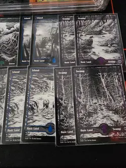 MTG - Innistard Crimson Vow - 2 Sets of Land Cards Non Foil - Image 4