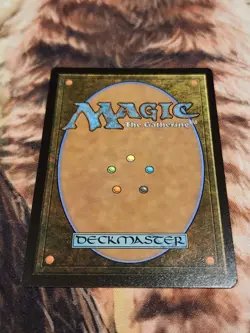 Alayna Danner - Signed Forest Cat Playmat + Signed Forest MTG Card Foil - Image 4