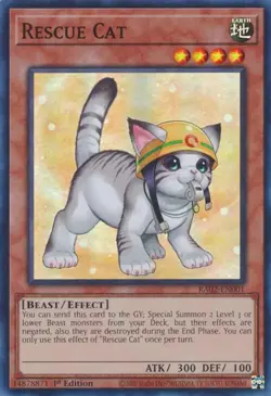 Yu-Gi-Oh! TCG - 25th Anniversary Rarity Collection II - Singles - Image 2