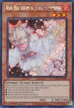 Yu-Gi-Oh! TCG - 25th Anniversary Rarity Collection - Singles - Image 4