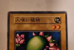 Yugioh! Japanese Man-eating Plant Darkworld Thorns No_Ref Initial First BOOSTER1 - Image 3