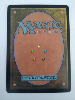 Stormcarved Coast (Borderless) - Innistrad: Crimson Vow (VOW) (Foil) - #284 MtG - Image 2