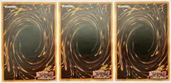 3 x RYMP-EN100 Jain, Lightsworn Paladin - Ultra Rare 1st Edition Lightly Played - Image 2