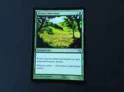 Summer Bloom Russian FOIL NM [9th Edition] Mtg Magic Free Tracking! - Image 1