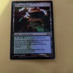 Breeding Pool HP Magic the Gathering Gatecrash MTG Lightly Played - Image 1