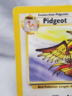 Pidgeot 24/64 Non-Holo Rare - Pokemon TCG Jungle Unlimited - MP - Image 2
