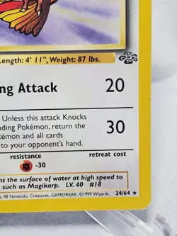 Pidgeot 24/64 Non-Holo Rare - Pokemon TCG Jungle Unlimited - MP - Image 4