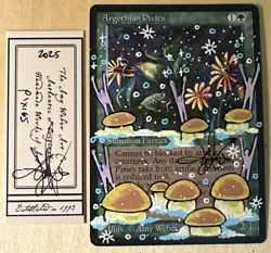 MTG Argothian Pixies Alter Altered Sketch Art Amy WEBER Magic - Image 1