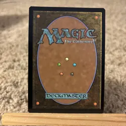 Wasteland Borderless Foil R0361 MTG(PIP) - Image 2