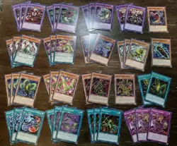 Yugioh Predaplant Deck Core Of 48 Cards - Starving Venom, Raflessia, Etc. - Image 1