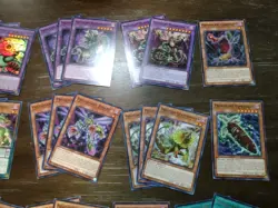 Yugioh Predaplant Deck Core Of 48 Cards - Starving Venom, Raflessia, Etc. - Image 3