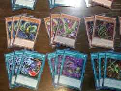 Yugioh Predaplant Deck Core Of 48 Cards - Starving Venom, Raflessia, Etc. - Image 4