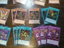 Yugioh Predaplant Deck Core Of 48 Cards - Starving Venom, Raflessia, Etc. - Image 5