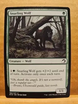 Snarling Wolf Innistrad: Midnight Hunt Regular. See Description For Bonus Cards - Image 1