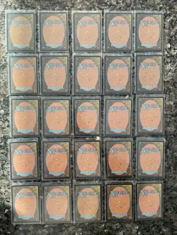 Magic the Gathering - Dominaria United - 94 Singles Incl a Foil Silverback Elder - Image 4