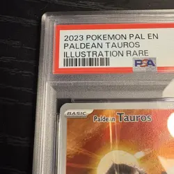 Pokemon Paldean Tauros Illustation Rare 218/193 (2023 Paldea Evolved) EN PSA 8 - Image 2