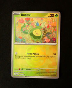 Pokemon Card TCG - Budew 004/131 Master Ball Reverse Prismatic Evolutions - NM ⭐ - Image 1