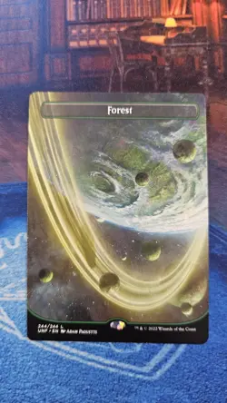 1 X Forest (244) (Borderless) Unfinity Regular - Image 1