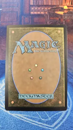 1 X Forest (244) (Borderless) Unfinity Regular - Image 2