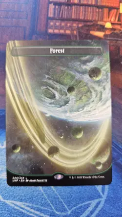 1 X Forest (244) (Borderless) Unfinity Regular - Image 3