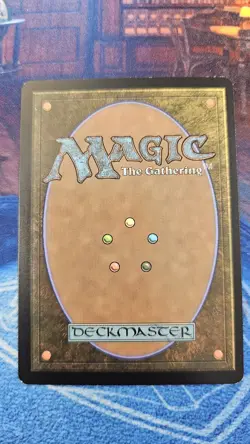 1 X Forest (244) (Borderless) Unfinity Regular - Image 4